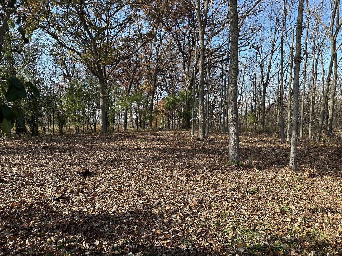 14942 W Concord Court Property Photo 2