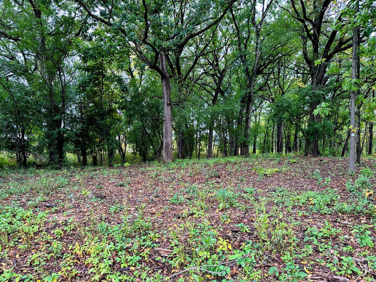 14942 W Concord Court Property Photo 4