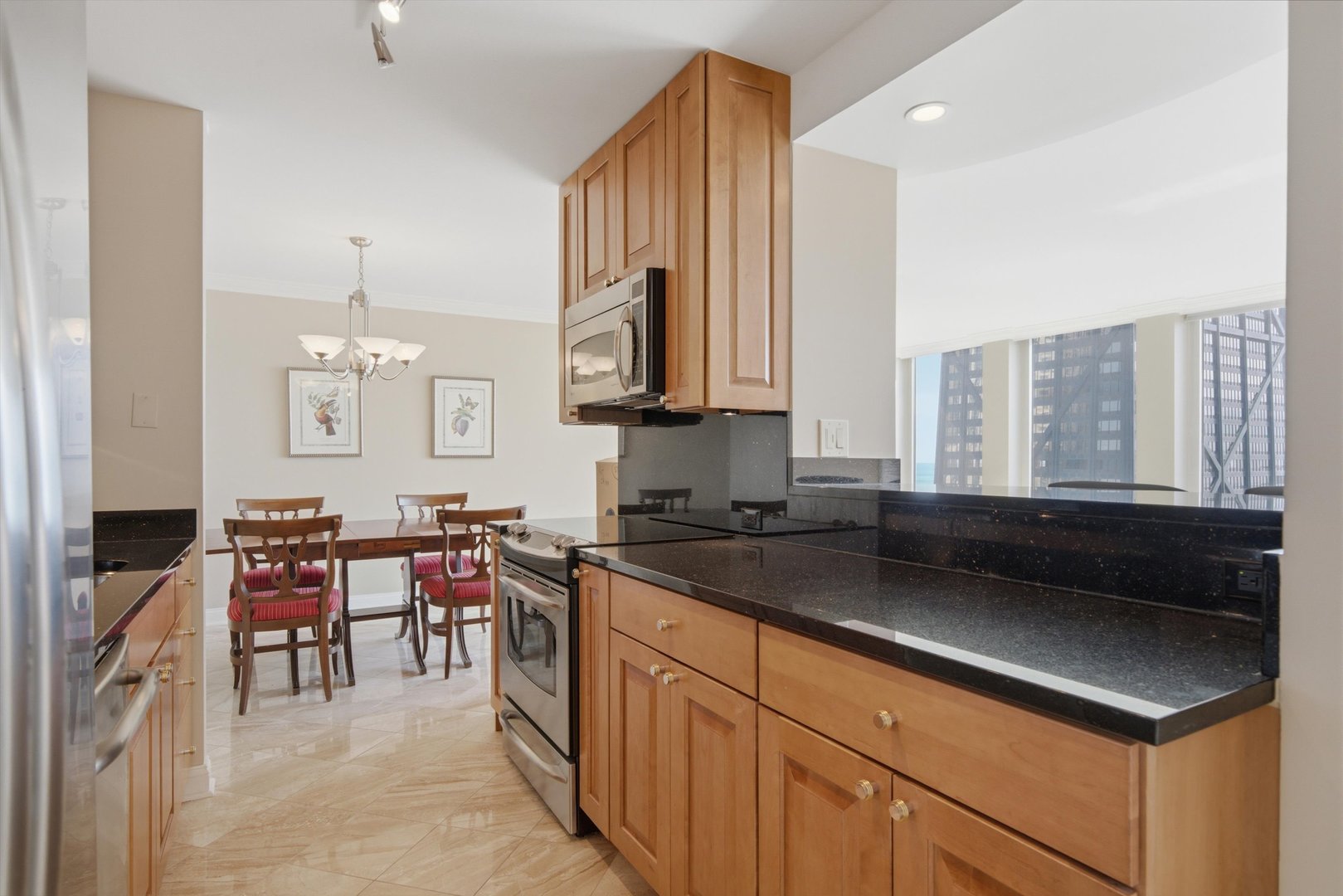 111 E Chestnut Street 42f Property Photo 10