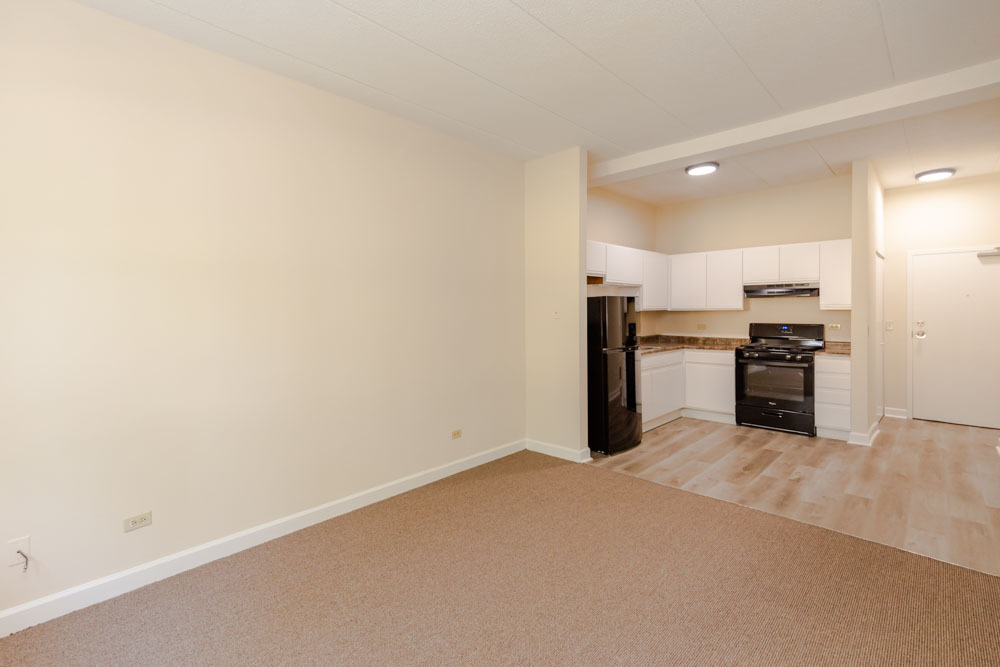 4752 S Wabash Avenue 106 Property Photo 3