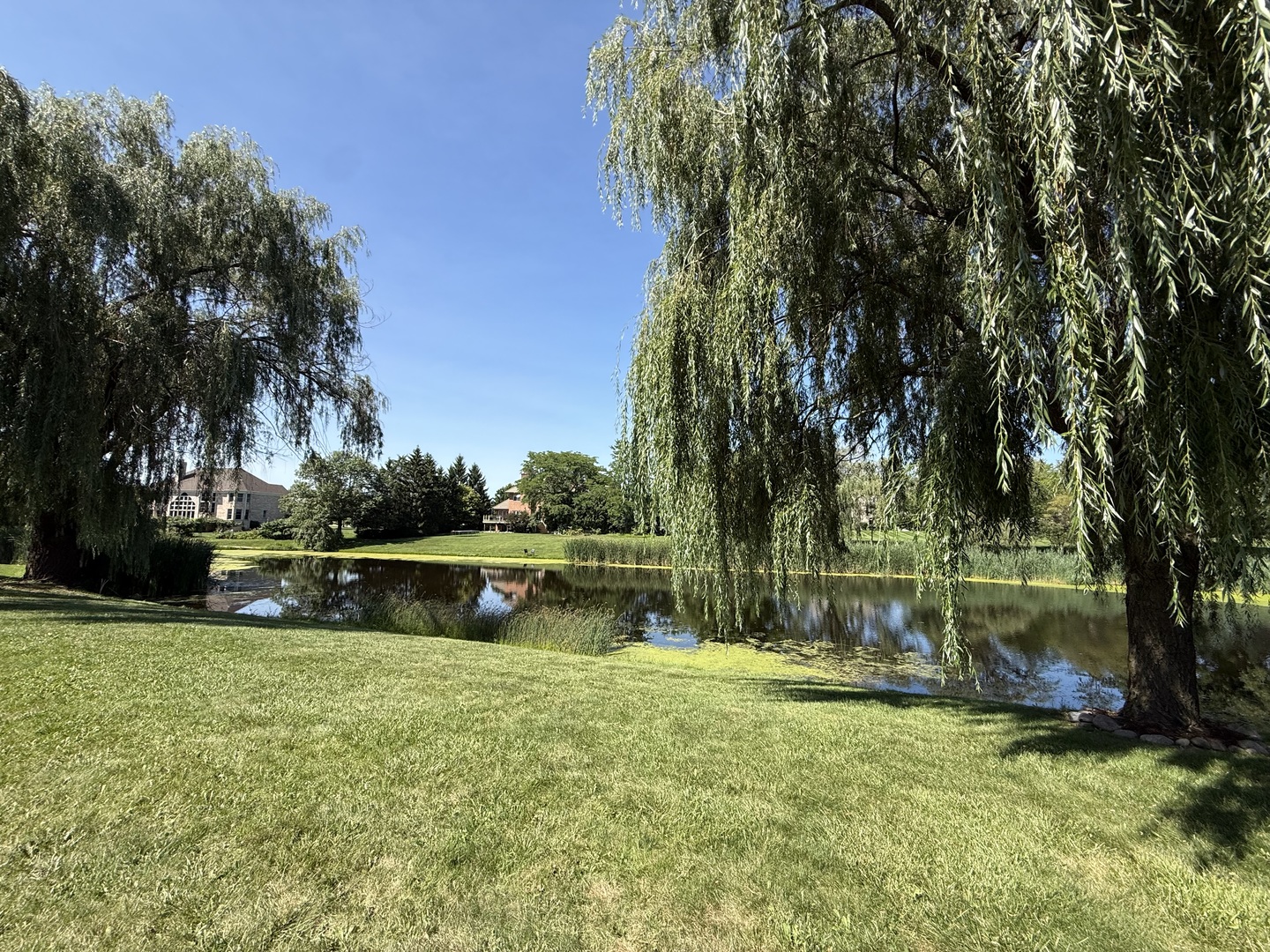184 Bluebird Court Property Photo 3