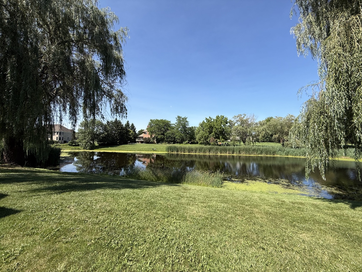 184 Bluebird Court Property Photo 63