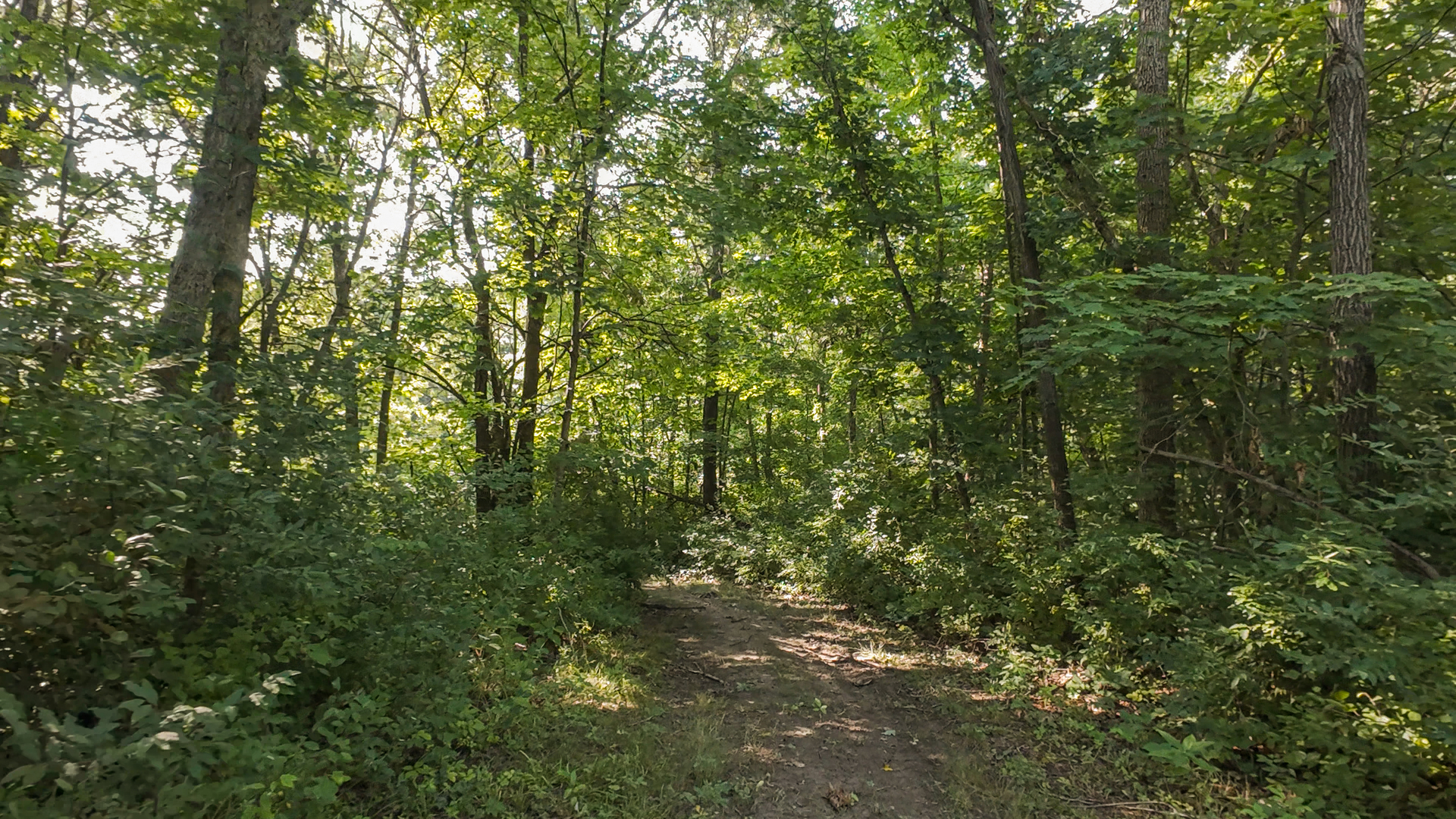 430 Il 26 Route Property Photo 13
