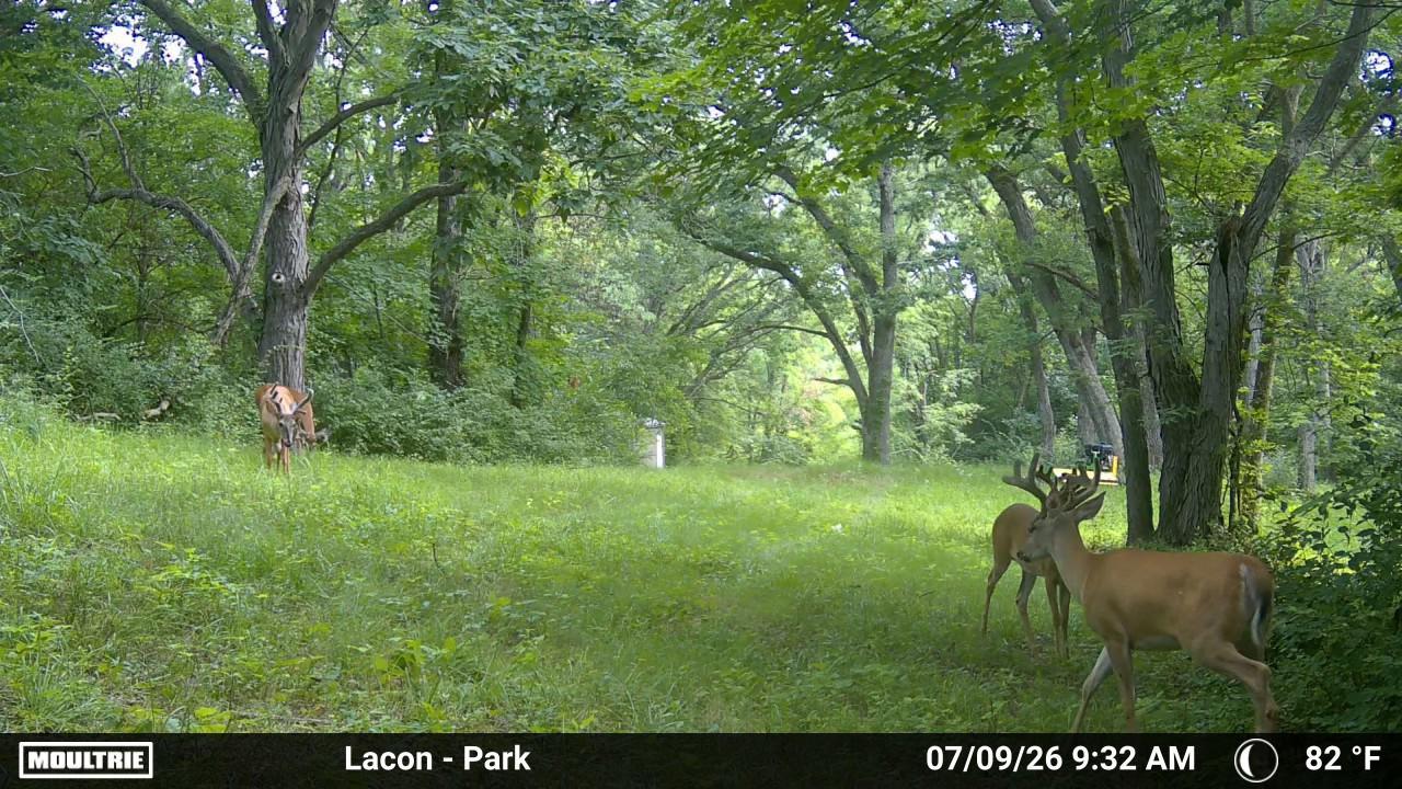 430 Il 26 Route Property Photo 27