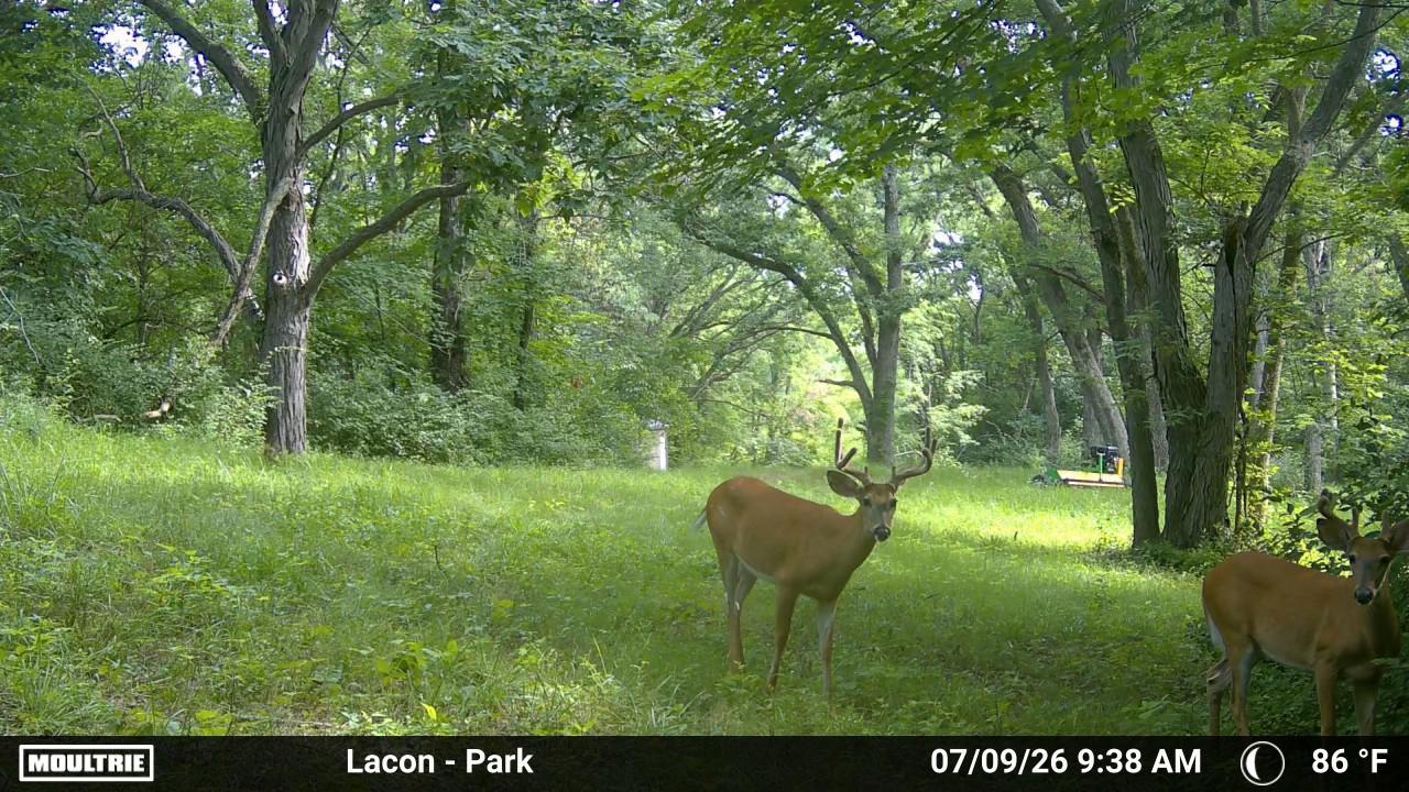 430 Il 26 Route Property Photo 28