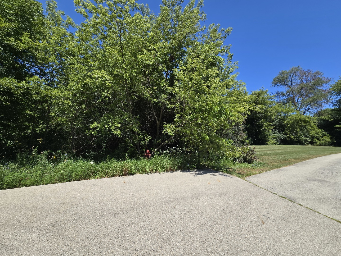 0 Greenview Avenue Property Photo 1