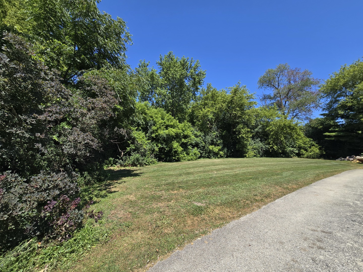0 Greenview Avenue Property Photo 2