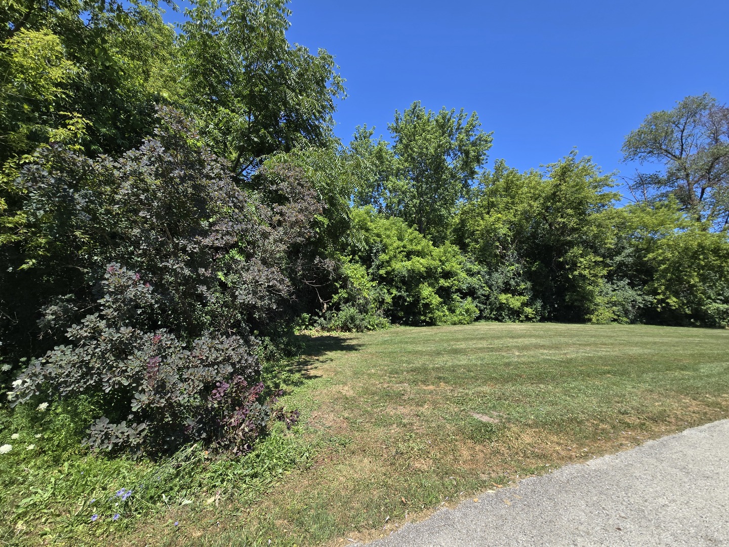 0 Greenview Avenue Property Photo 3
