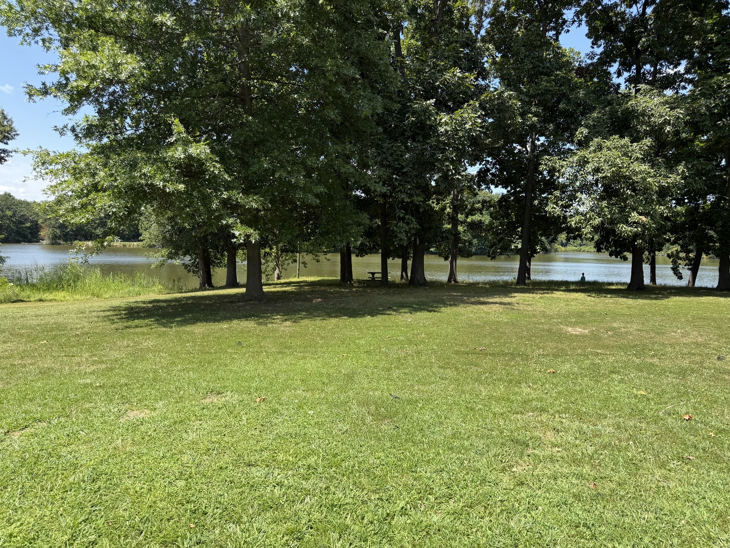 8 Lakedale Drive Property Photo 7