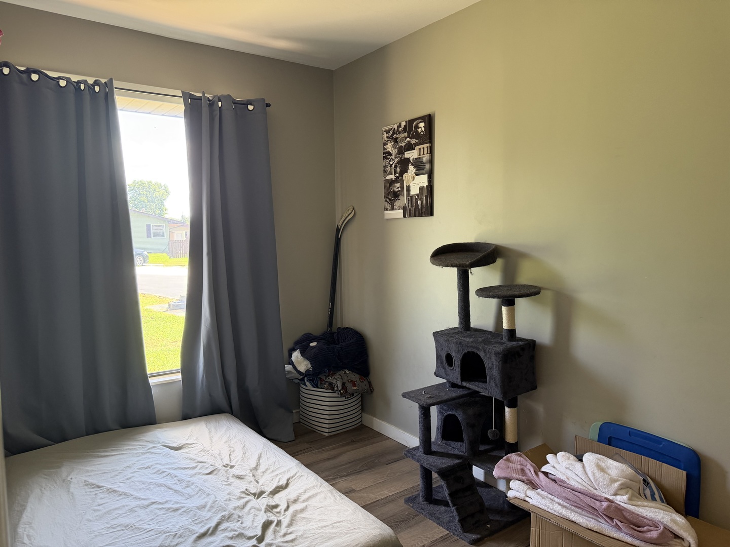 8 Lakedale Drive Property Photo 26
