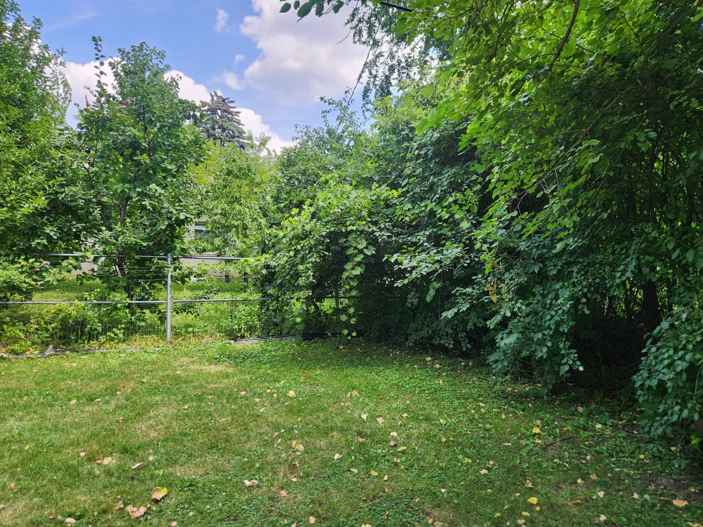 6647 N Lawndale Avenue Property Photo 15