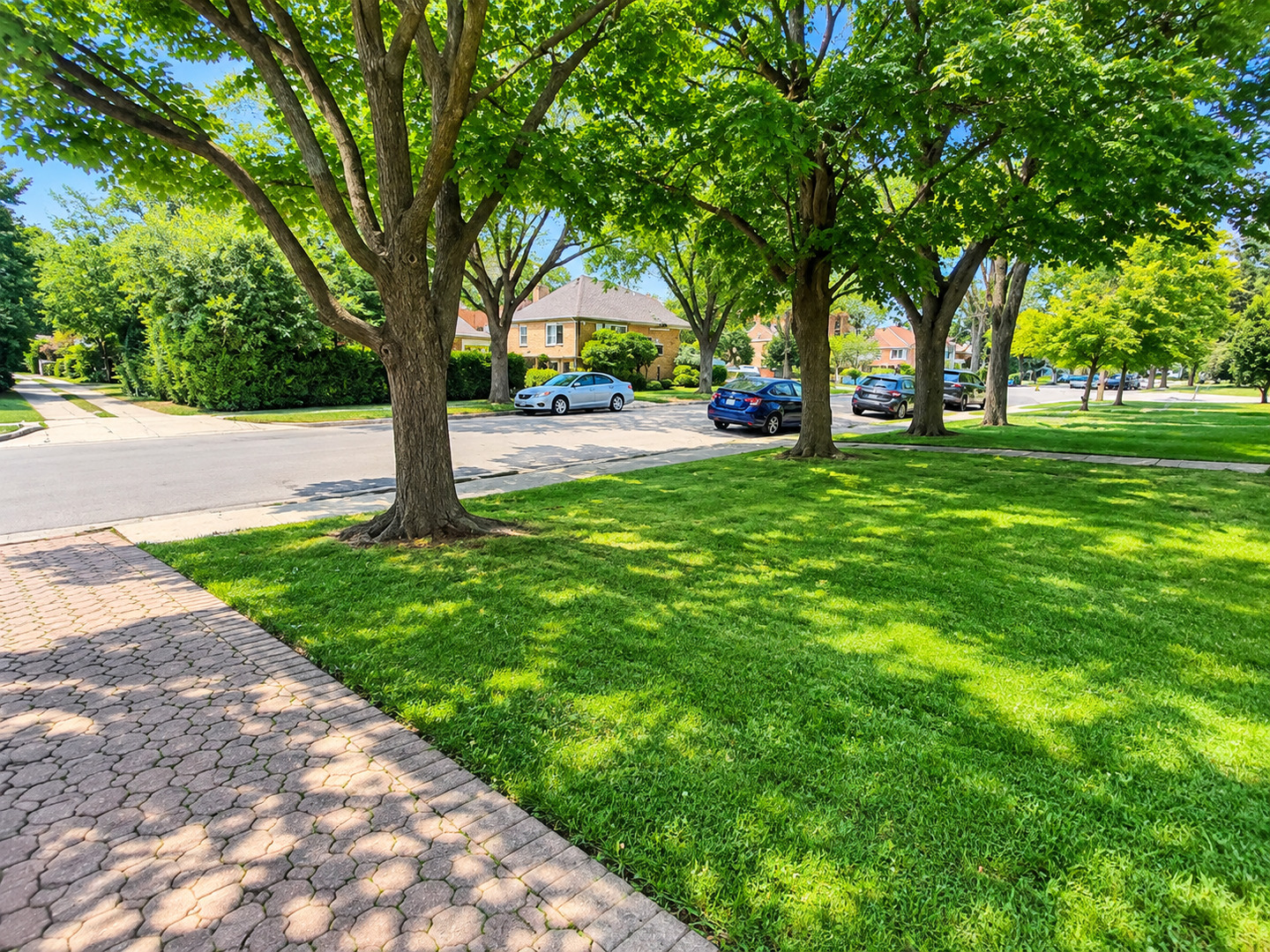 6647 N Lawndale Avenue Property Photo 21