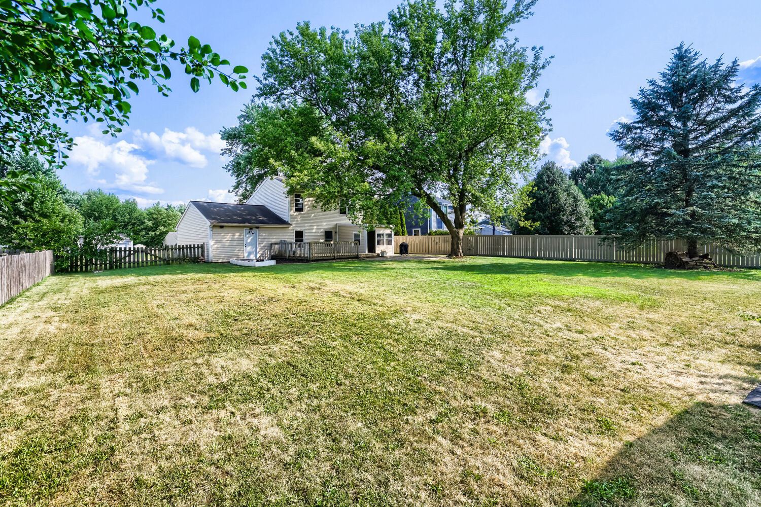 800 Newport Drive Property Photo 20