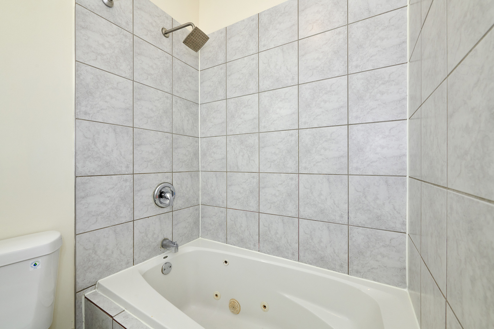 7209 N Damen Avenue 3 Property Photo 21