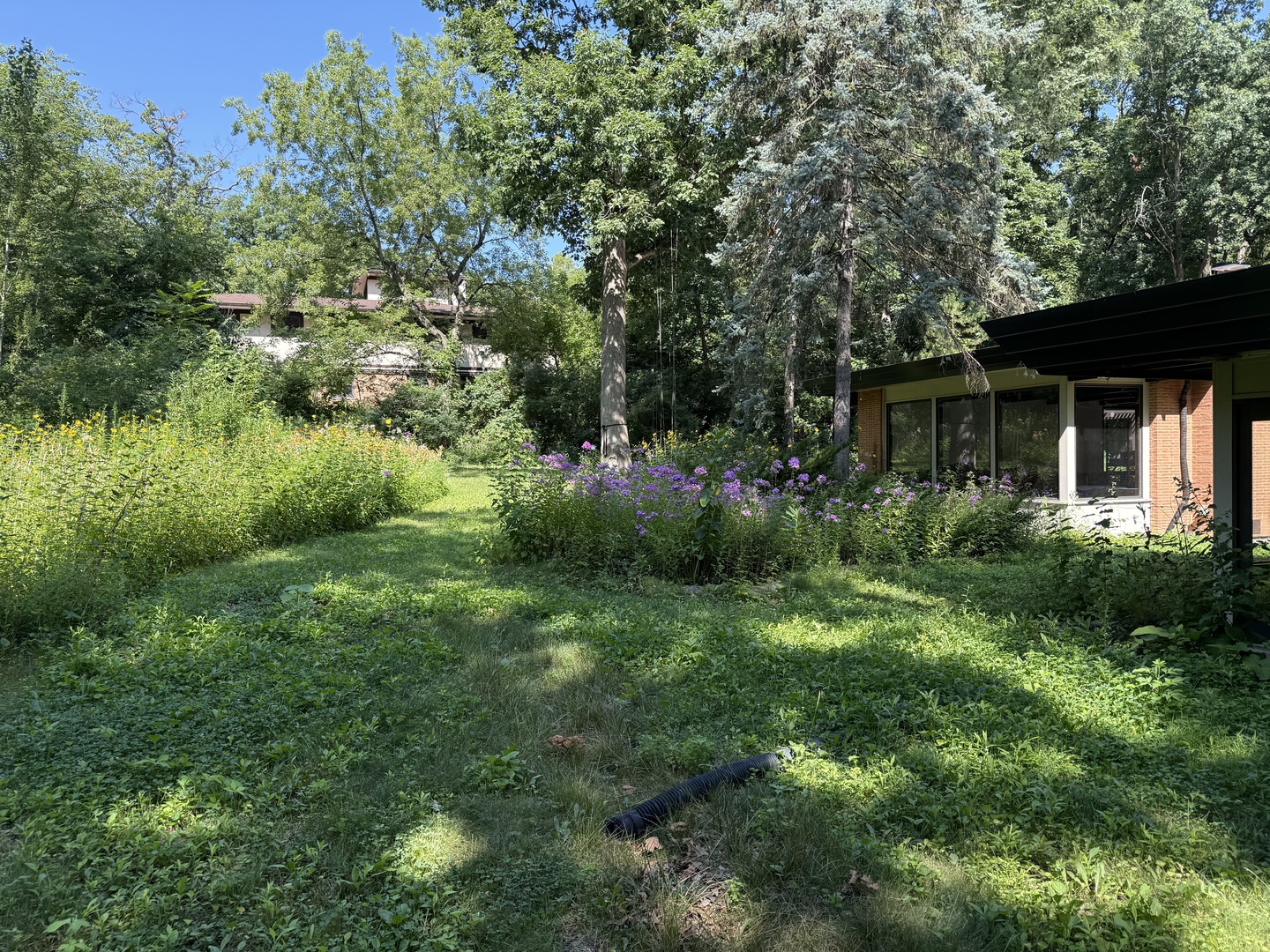 12616 S 83rd Avenue Property Photo 18