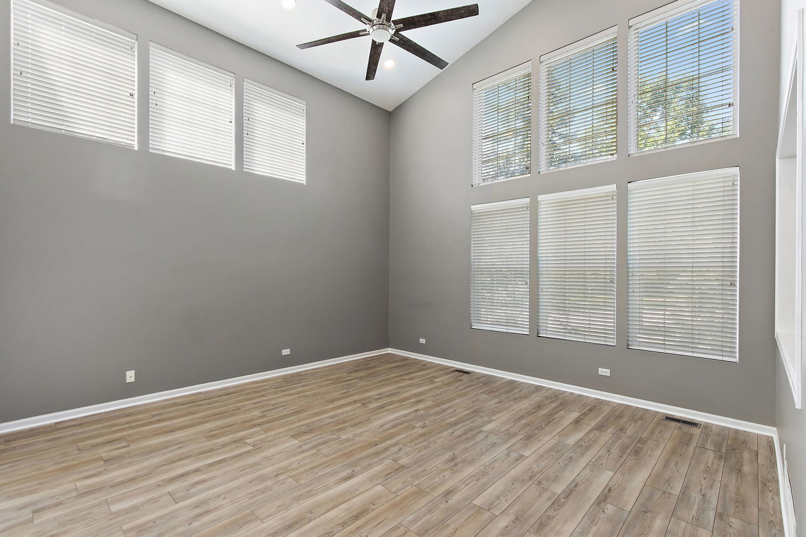 12714504 Property Photo 4