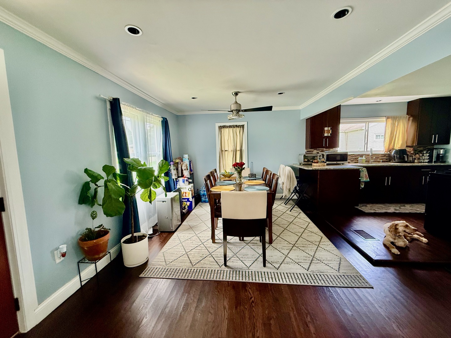 11709 S Hamlin Avenue Property Photo 6