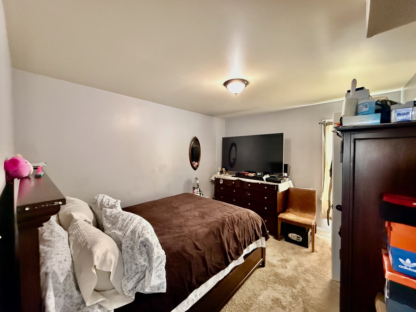 11709 S Hamlin Avenue Property Photo 19