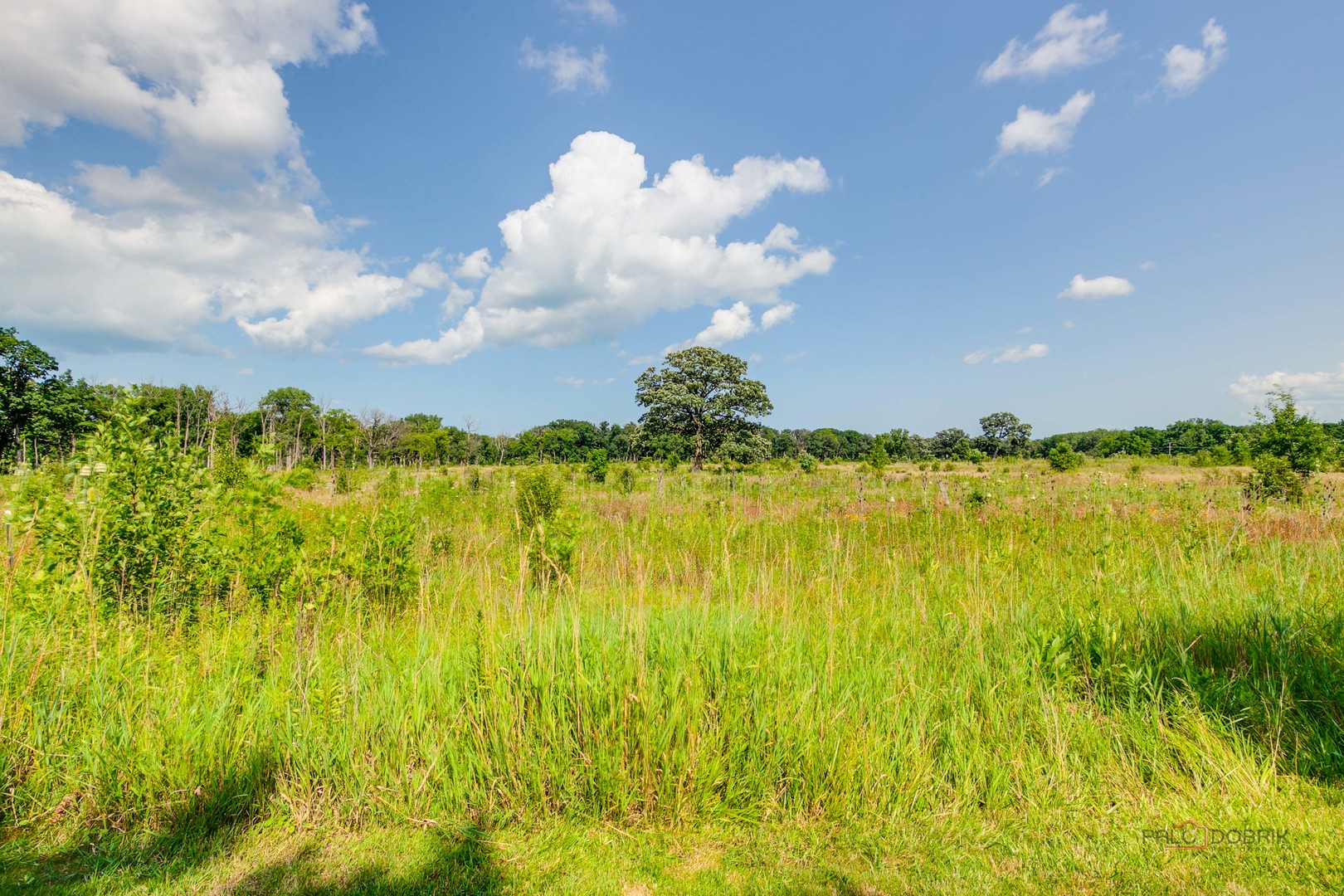 1441 Kathryn Lane Property Photo 69