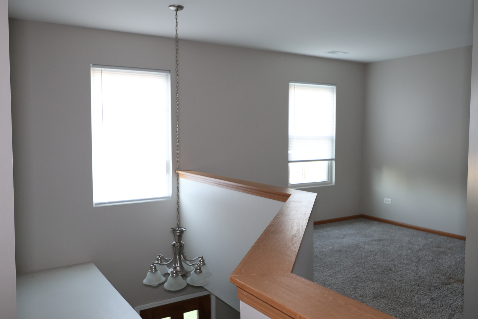 1011 Greenleaf Drive Property Photo 23