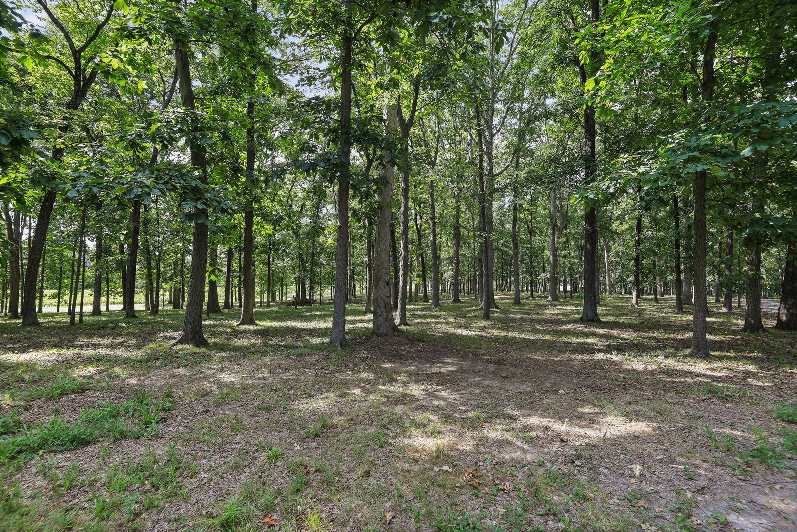 18802 N Moonbeam Lane Property Photo 26