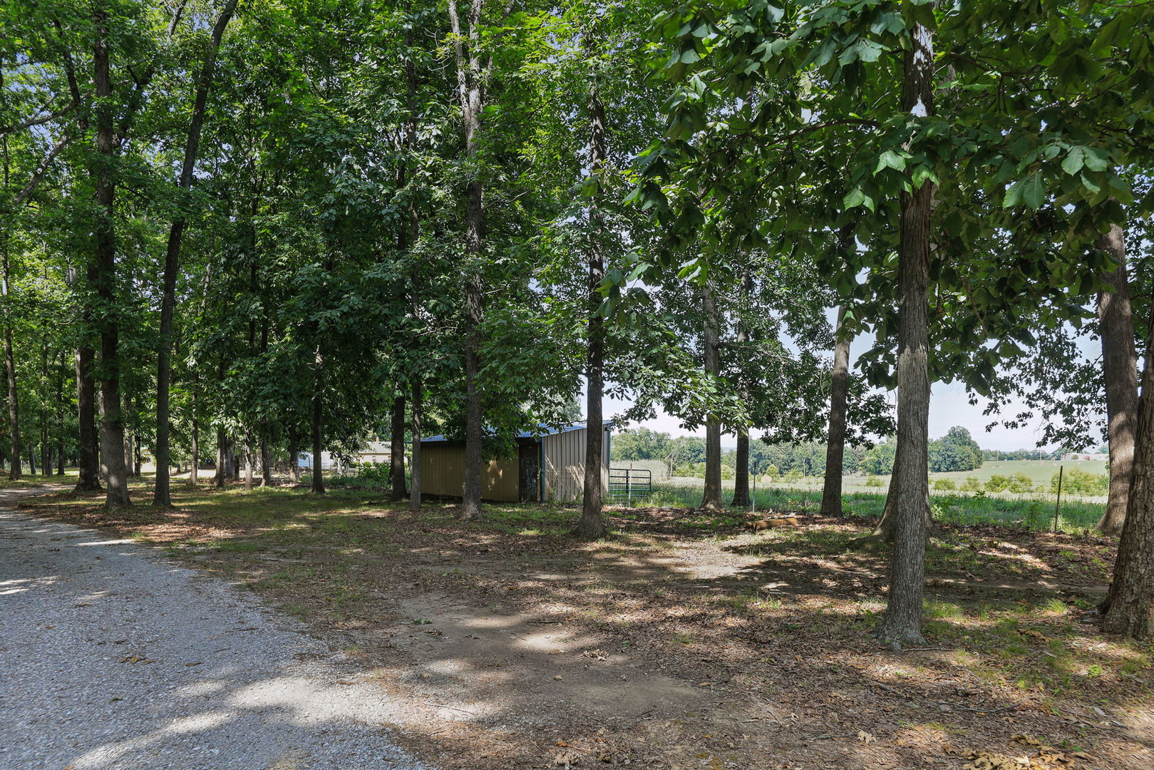 18802 N Moonbeam Lane Property Photo 27