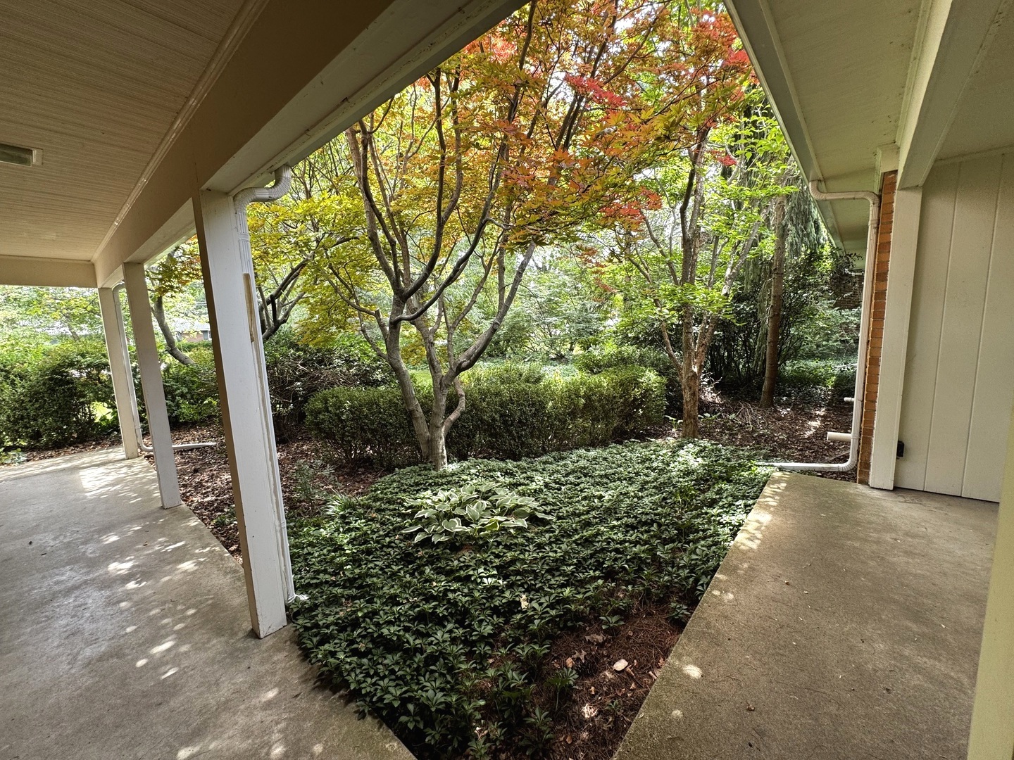1709 S Vine Street Property Photo 3