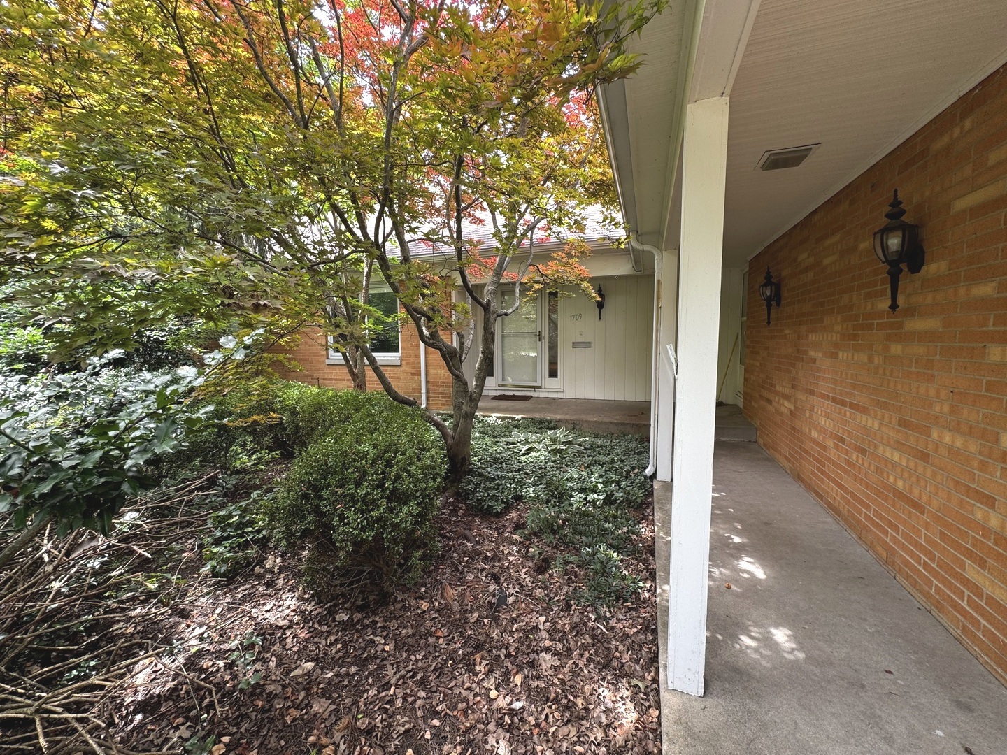 1709 S Vine Street Property Photo 4