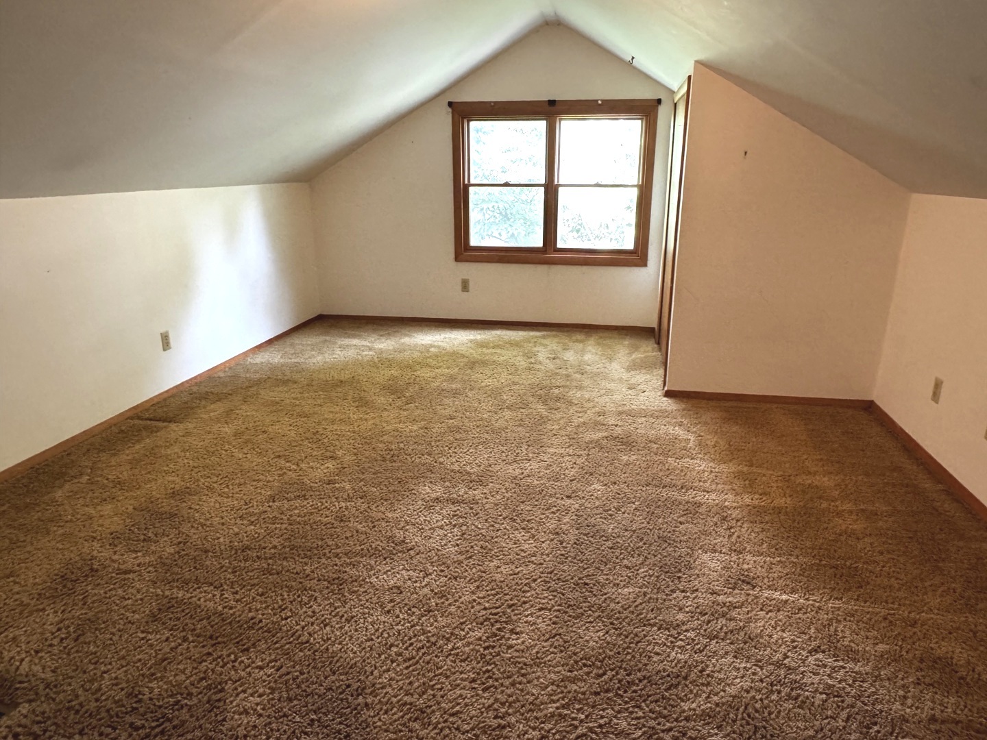 1709 S Vine Street Property Photo 25