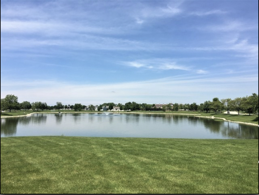 21562 Victory Lake Way Property Photo 21