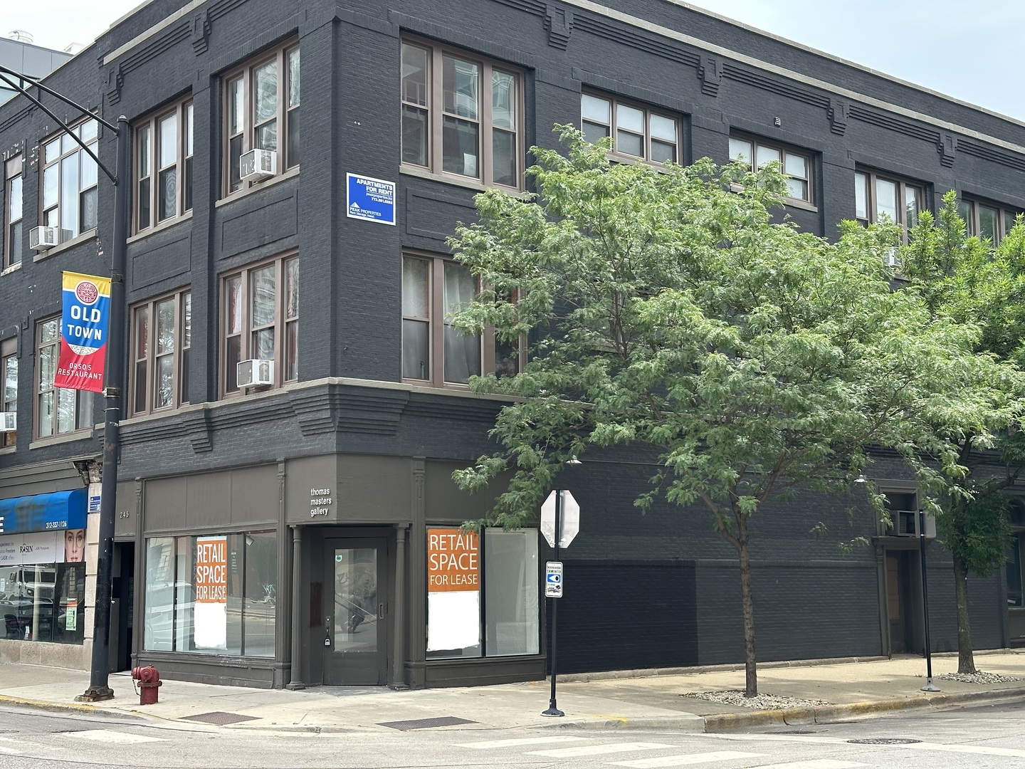 245 W North Avenue Property Photo 1