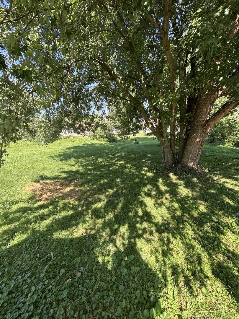 506 Paddock Avenue Property Photo 5