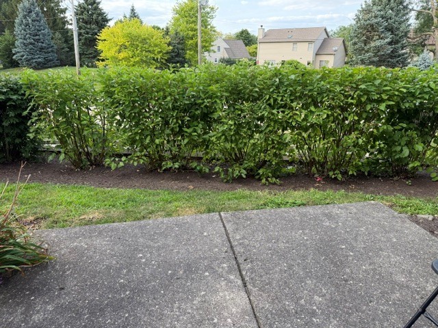 14 Dellwood Court 14 Property Photo 18