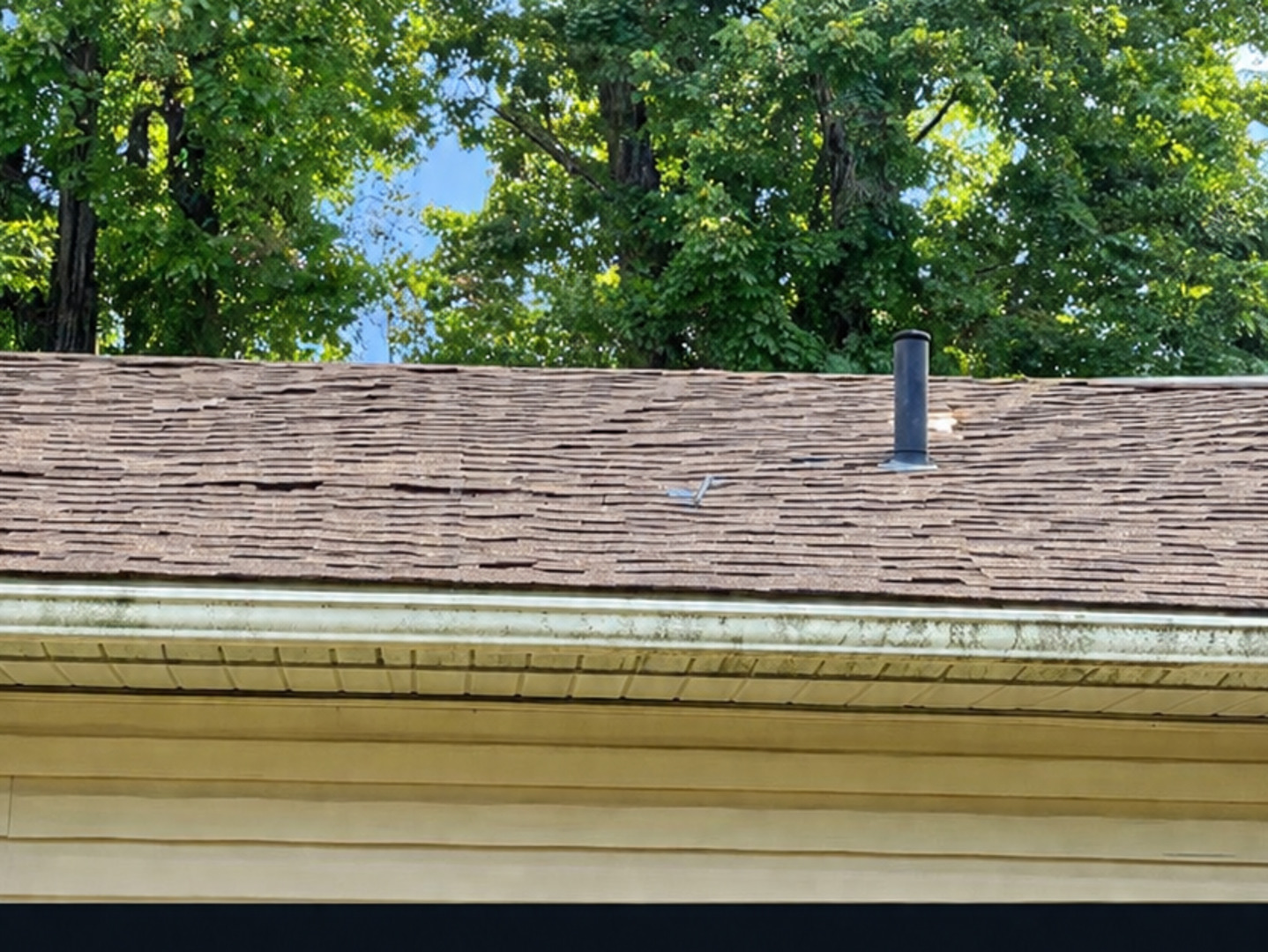 4490 Lake Drive Property Photo 6