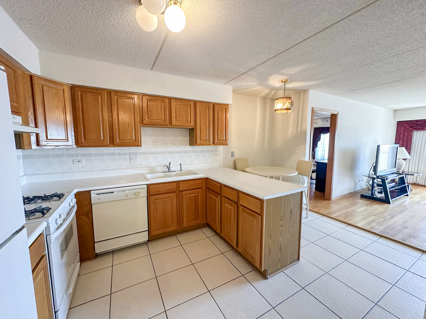 4700 N Harlem Avenue 306 Property Photo 6