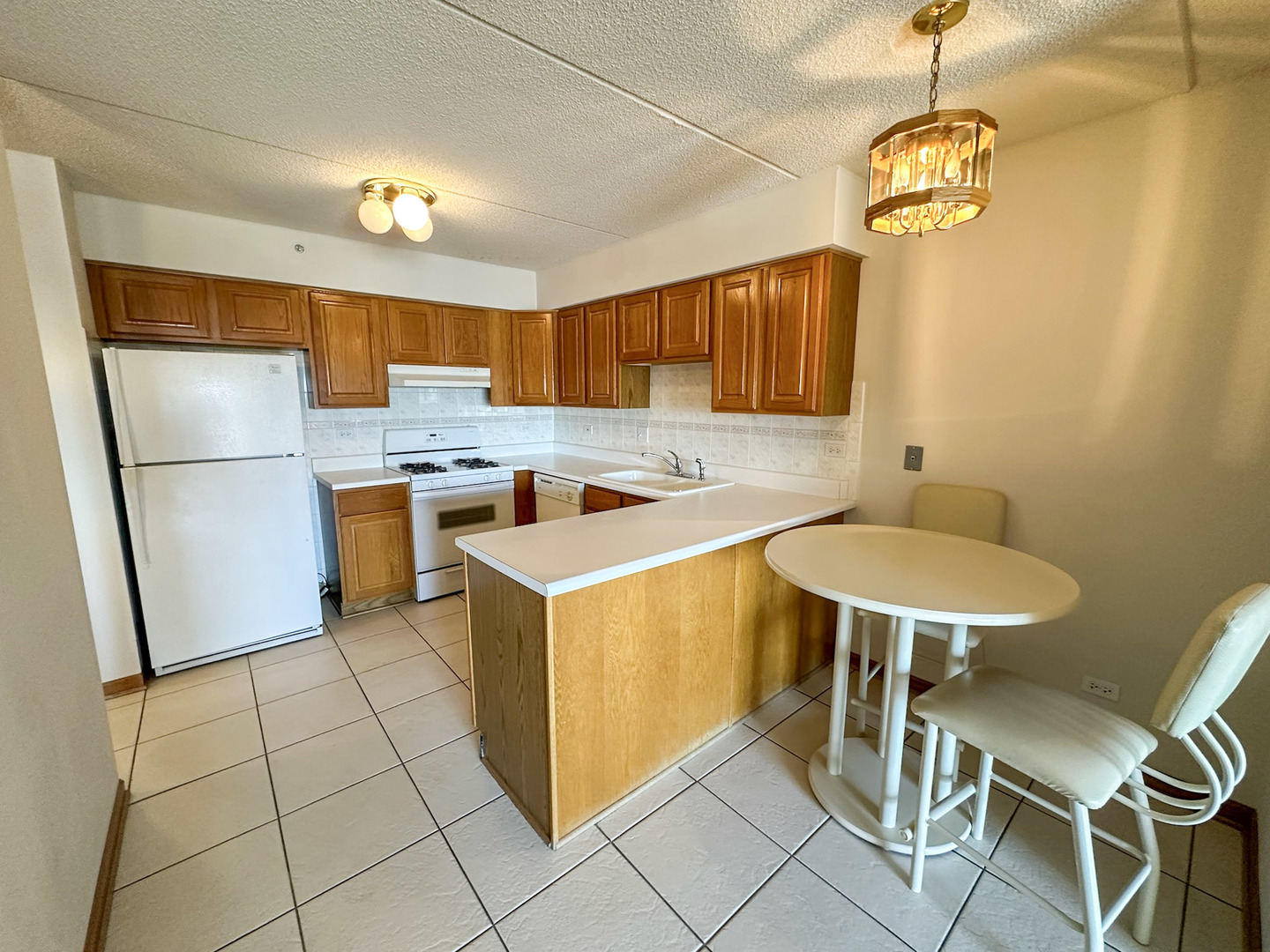 4700 N Harlem Avenue 306 Property Photo 7