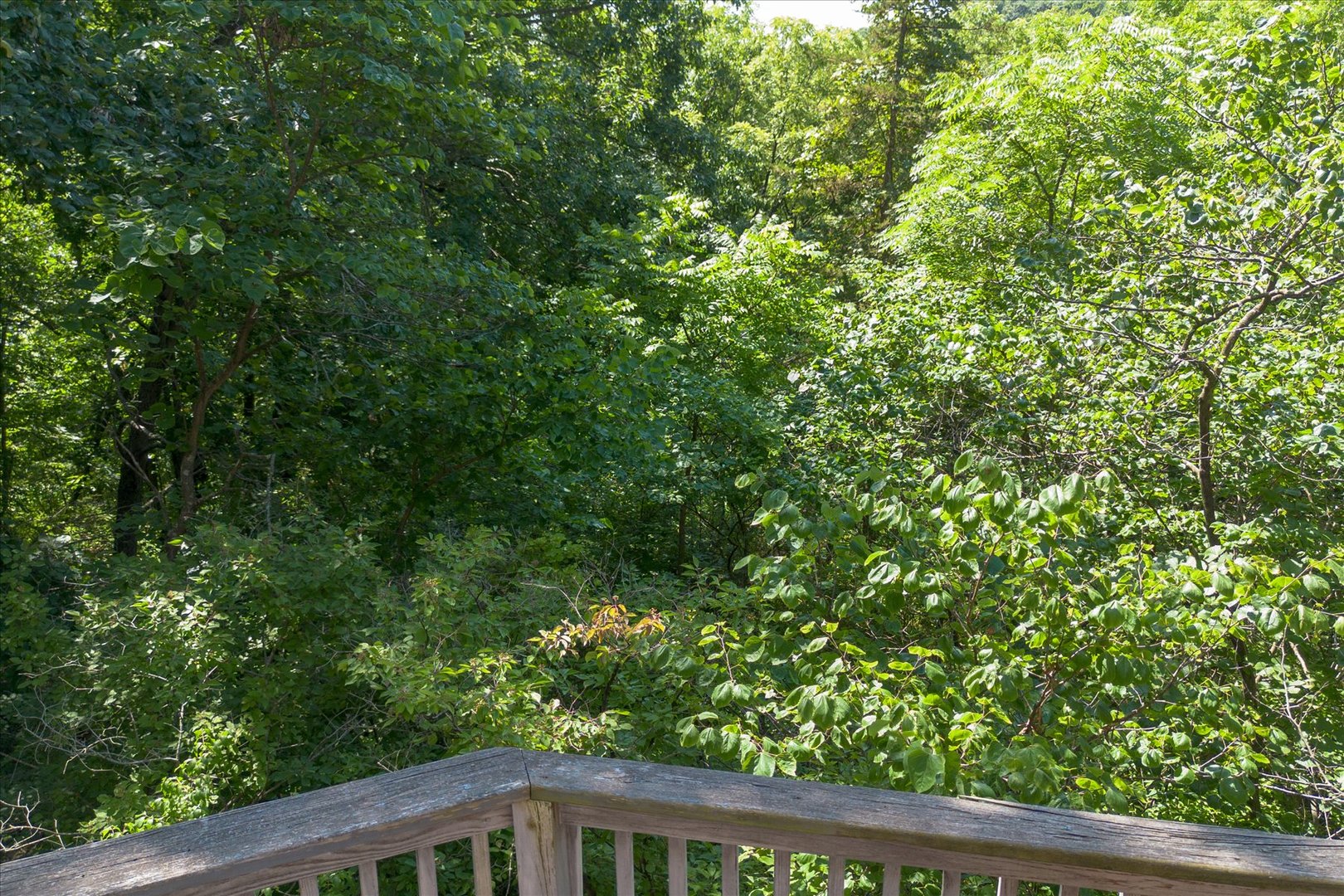 605 Sherwood Glen Property Photo 33