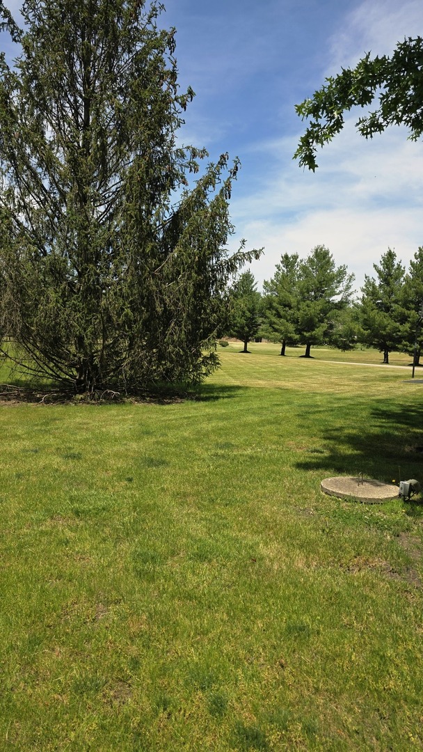 4205 Alex Drive Property Photo 4