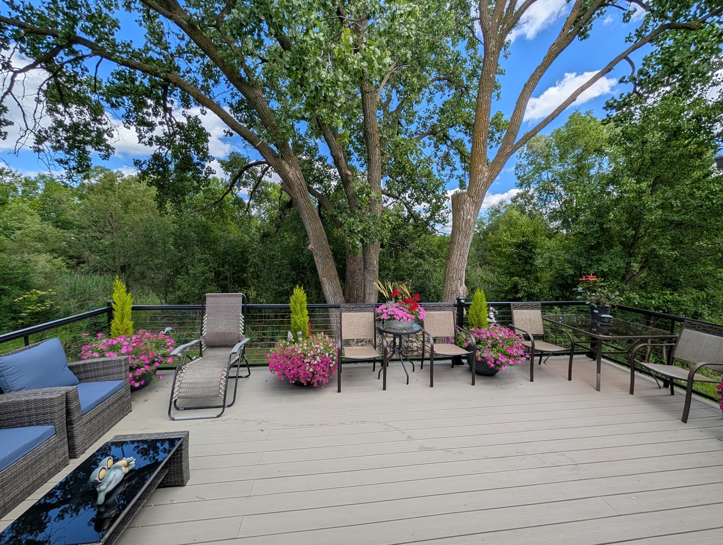 8316 Redtail Drive Property Photo 41