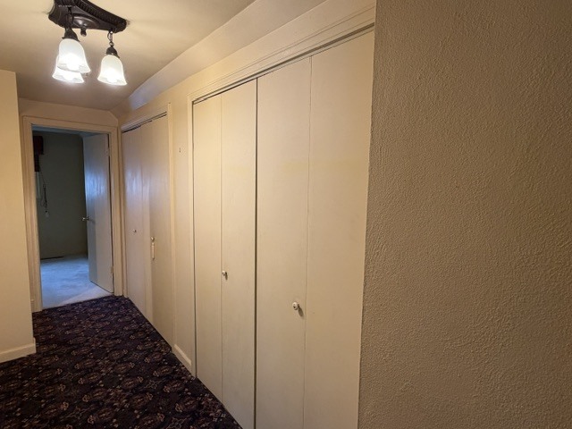 1209 Richmond Street Property Photo 30
