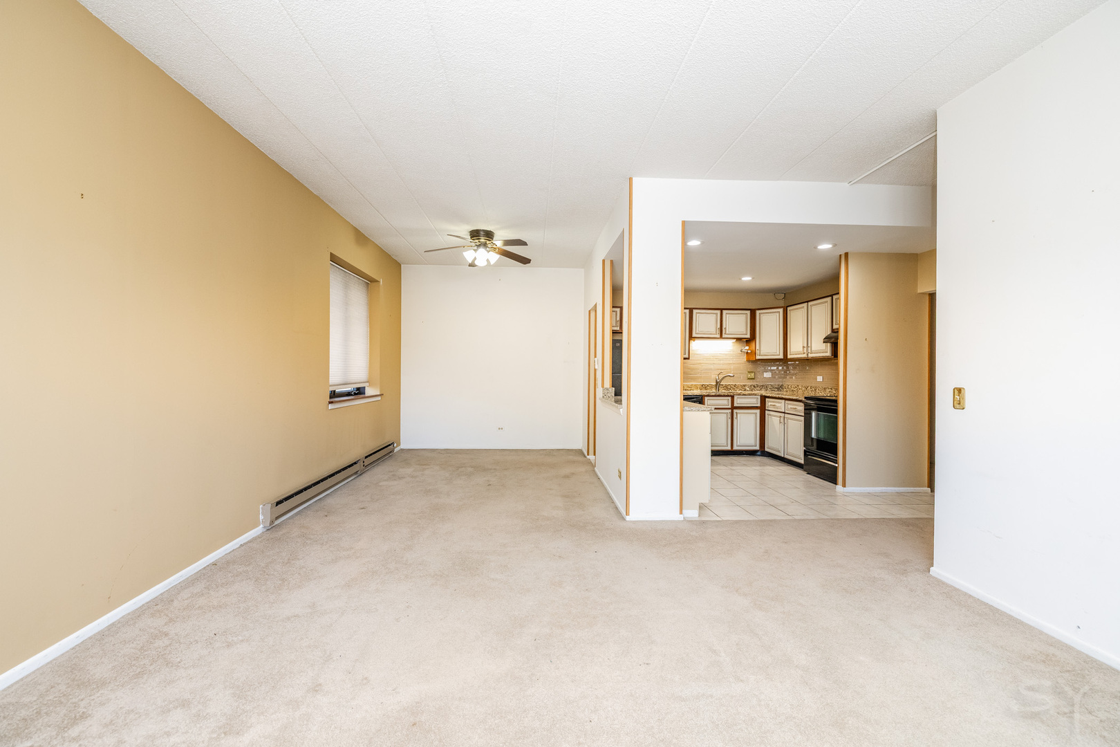 9737 N Fox Glen Drive 1n Property Photo 11