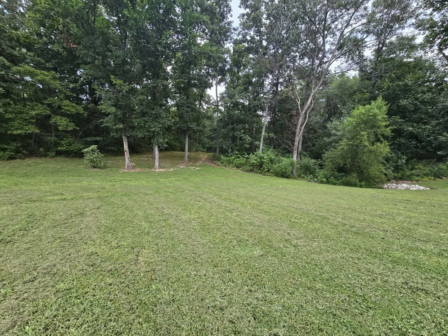 18178 N White Swan Lane Property Photo 31