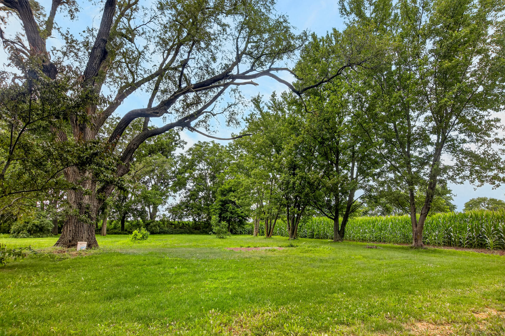 7772 E Kelly Road Property Photo 14