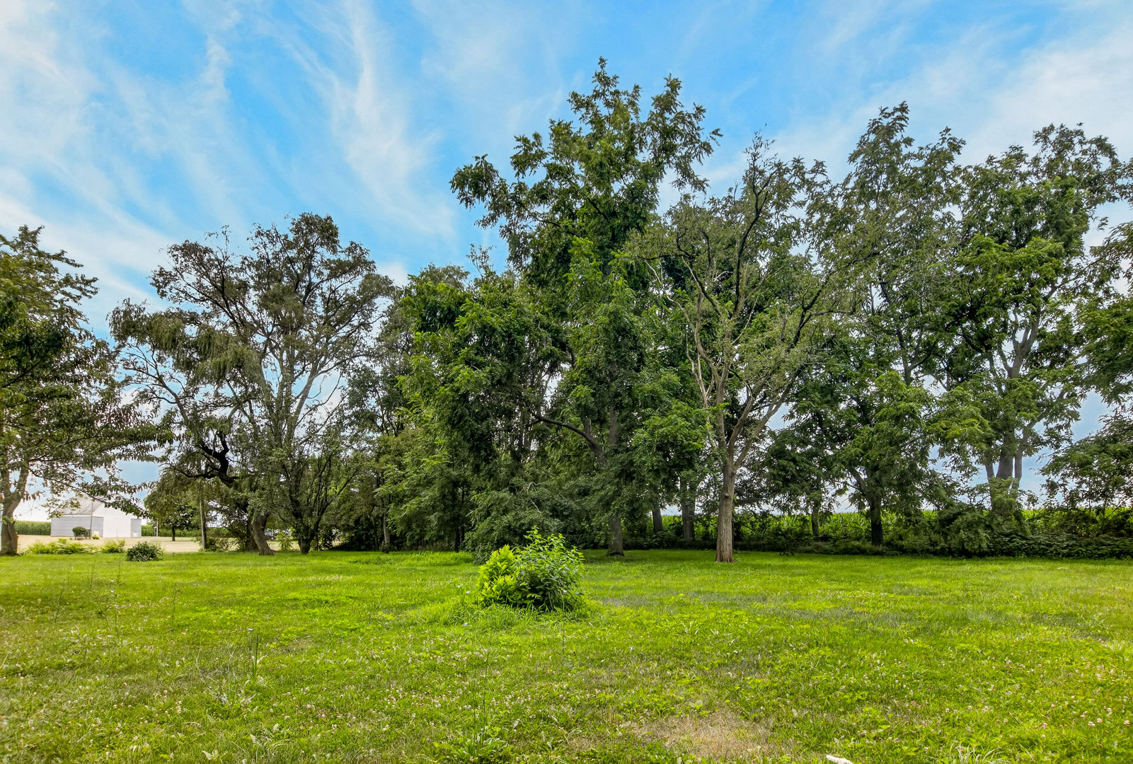 7772 E Kelly Road Property Photo 15