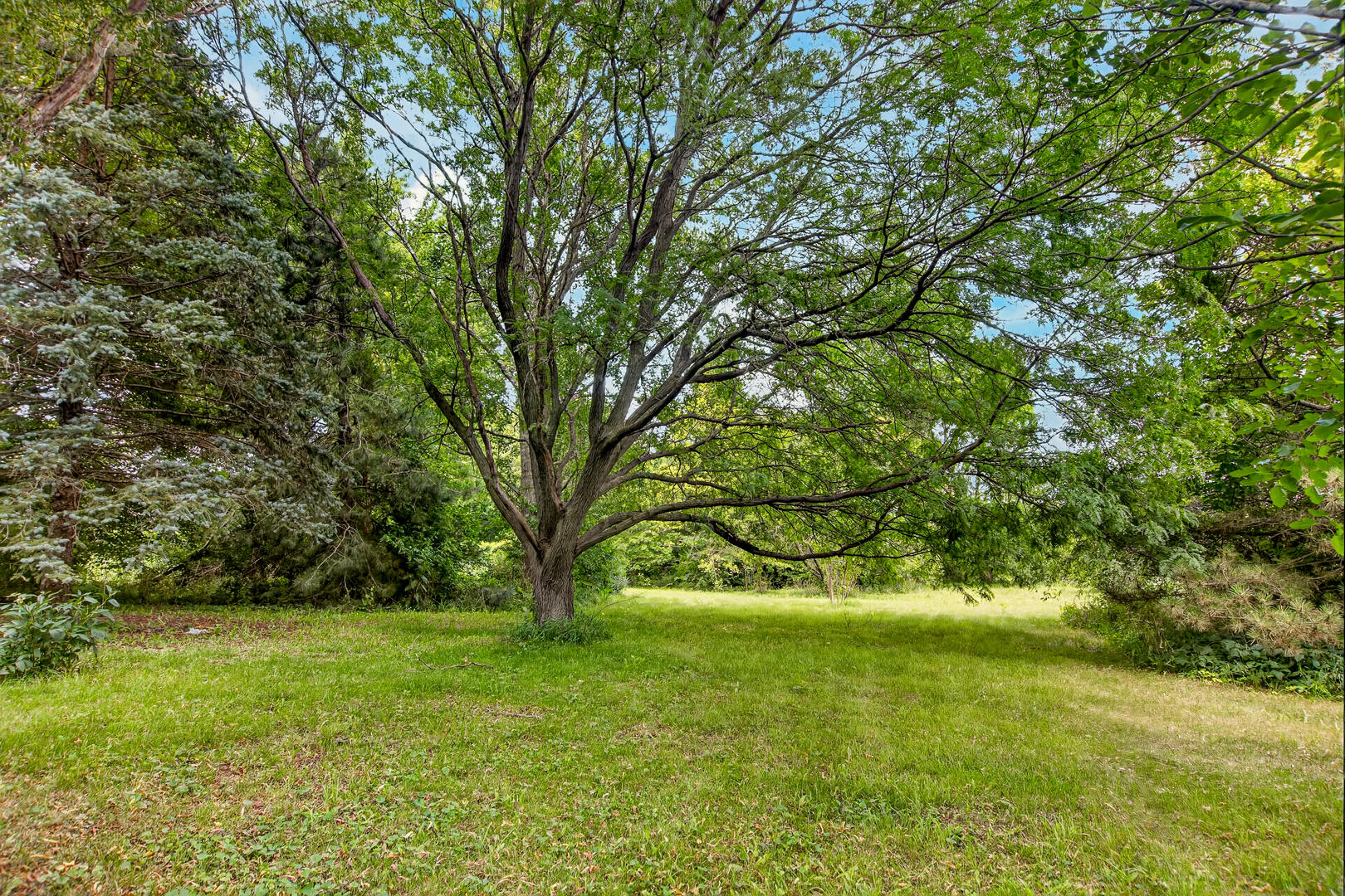 7772 E Kelly Road Property Photo 18
