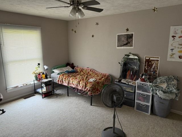 85 Highlander Drive Property Photo 13