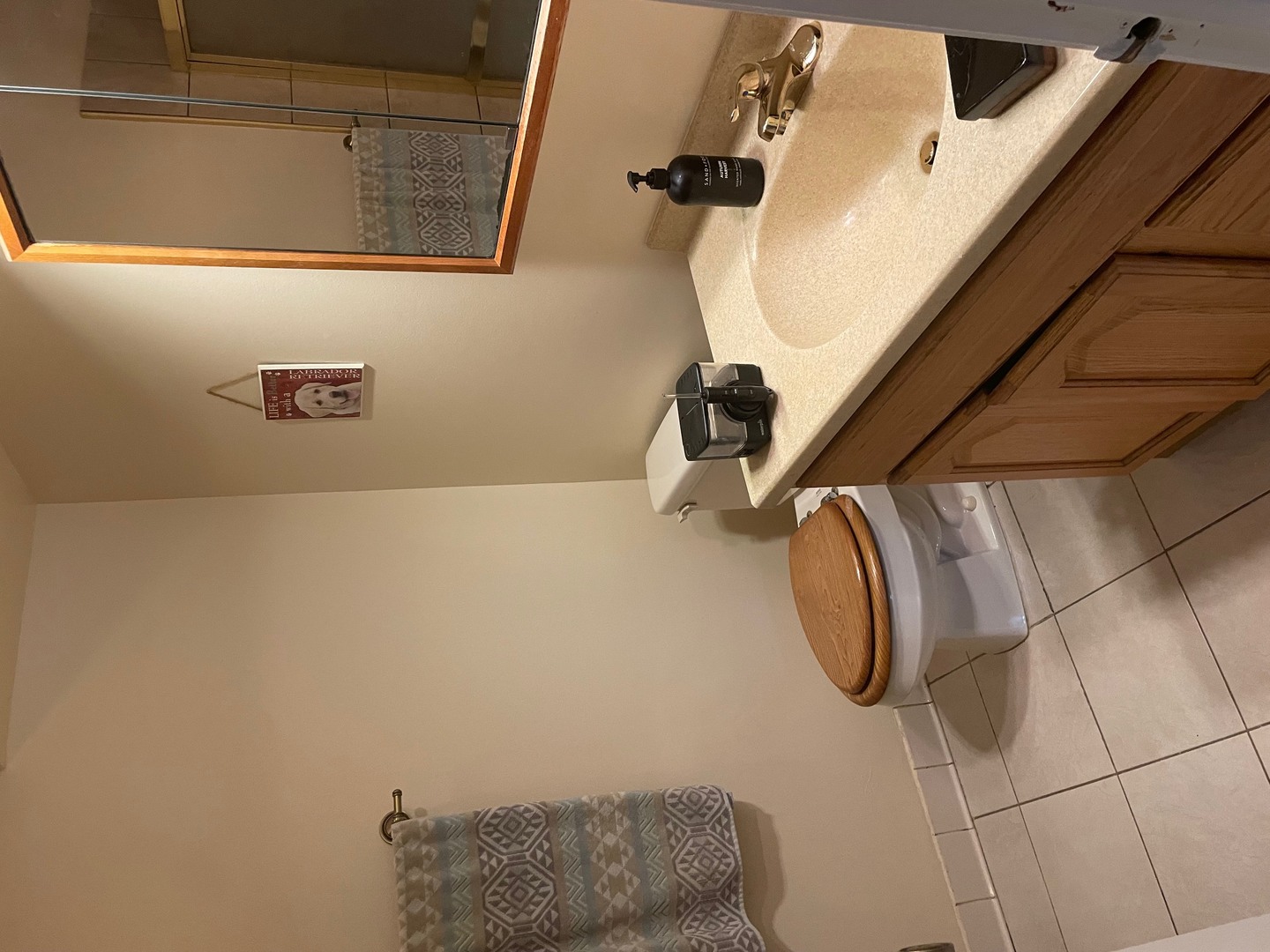 230 N Old Oak Drive 171 Property Photo 8