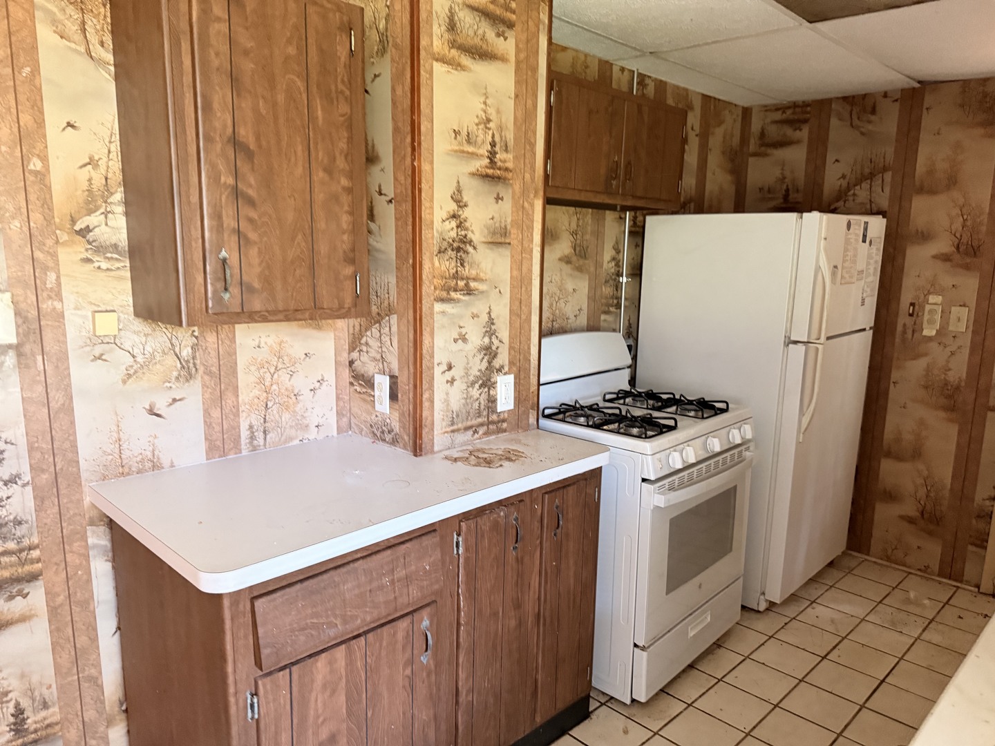 2816 Magellan Drive Property Photo 4