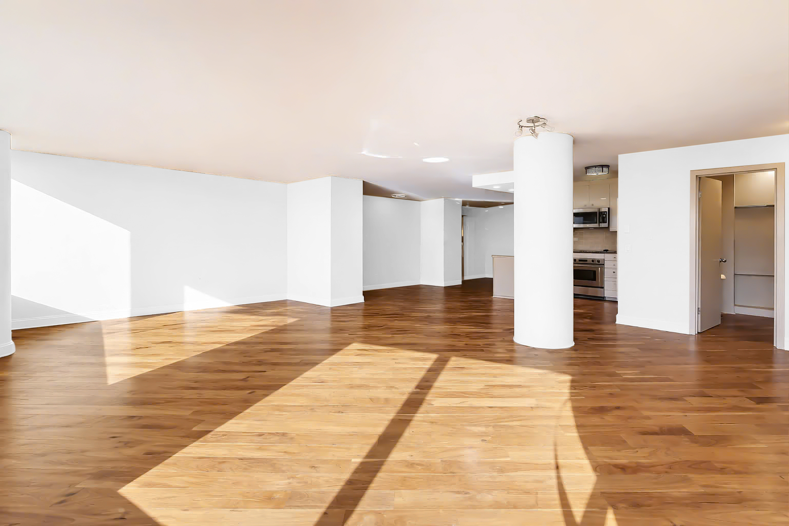 155 N Harbor Drive 3301-3302-3314 Property Photo 12