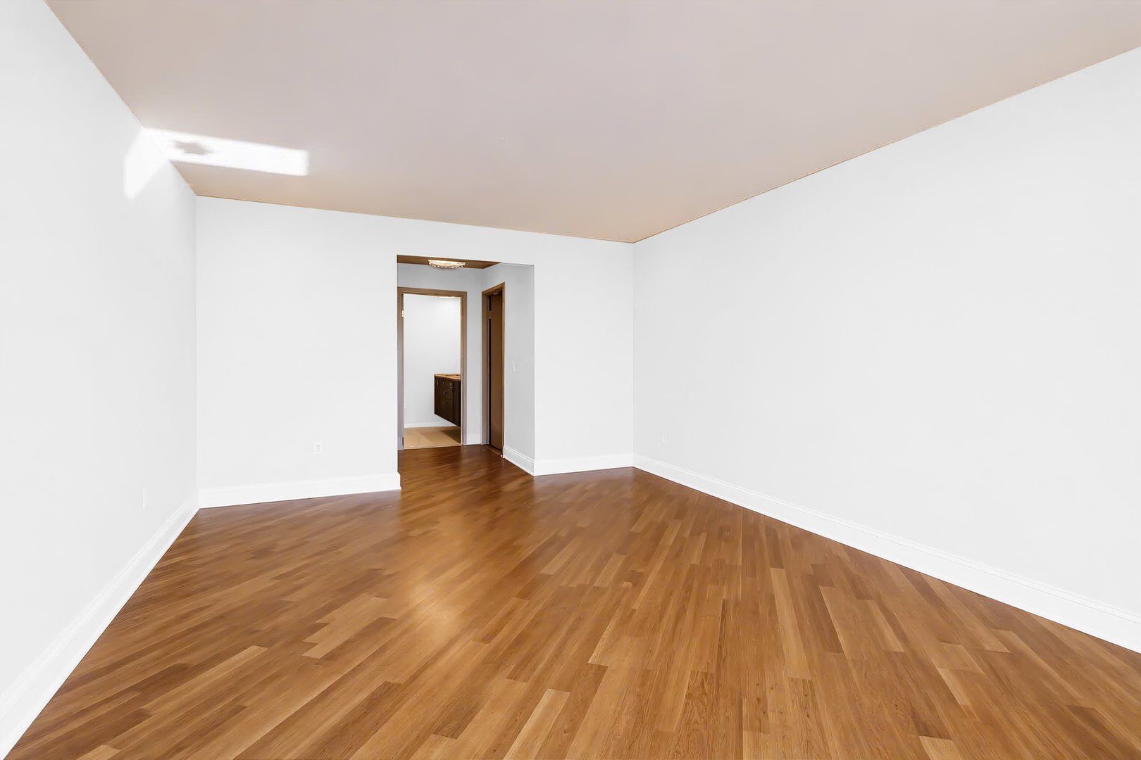 155 N Harbor Drive 3301-3302-3314 Property Photo 51